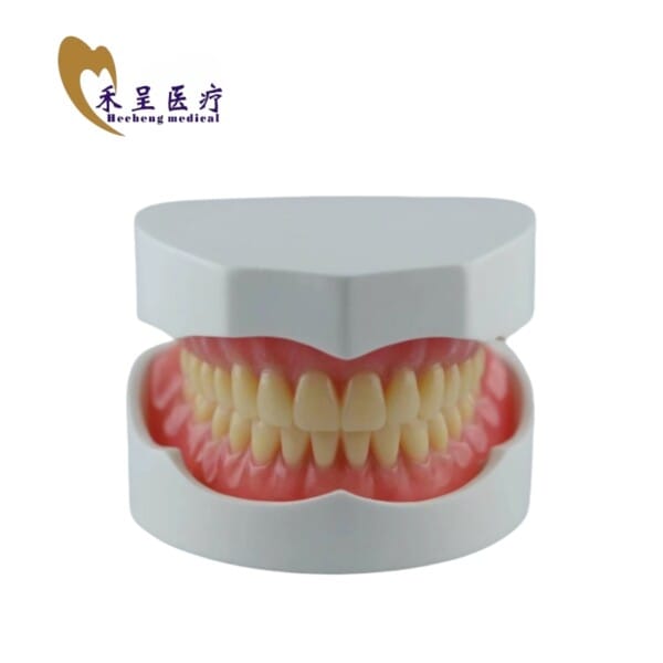 Veneer Tooth Dental Lab